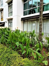 The Shelford (D11), Condominium #629236161
